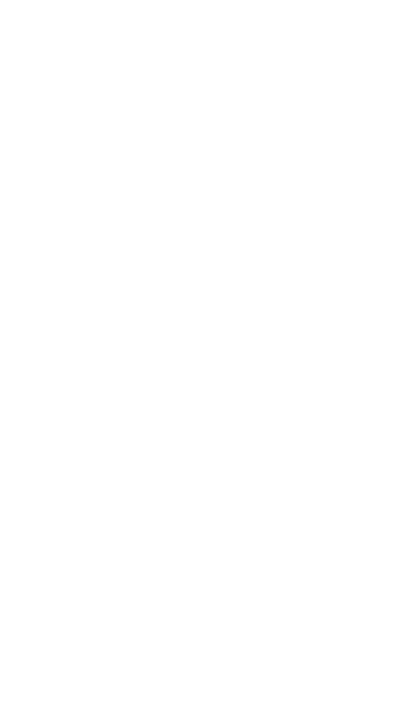 Bullsmarket Group